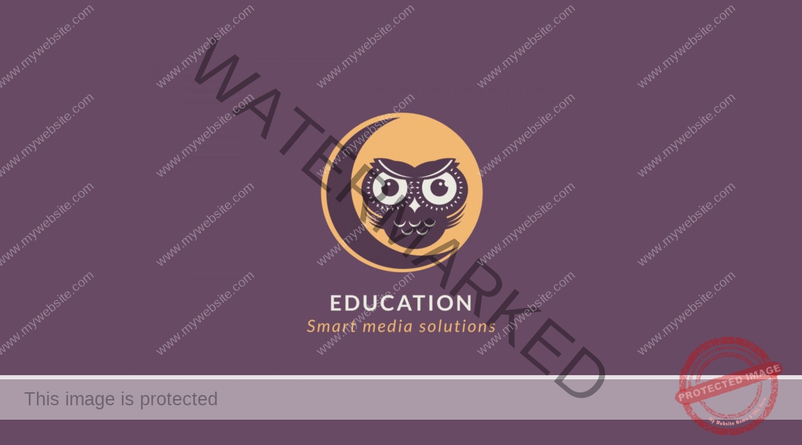 owl on the moon education logo
