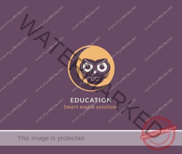 owl on the moon education logo