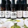 Moringa seed oil